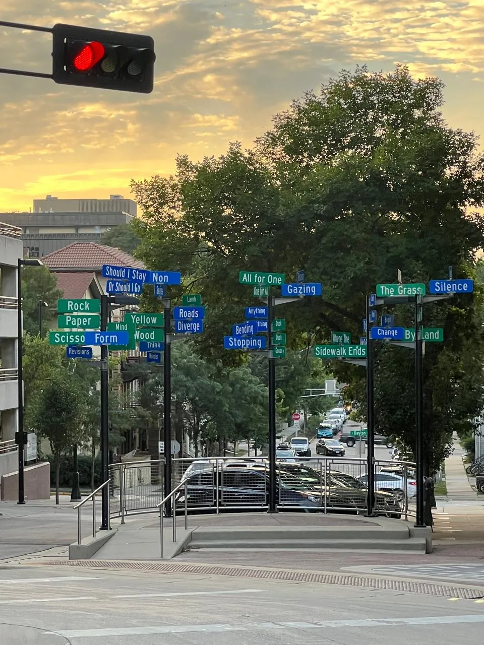 Clusters of colorful street signs on a tree-lined Madison street at sunset